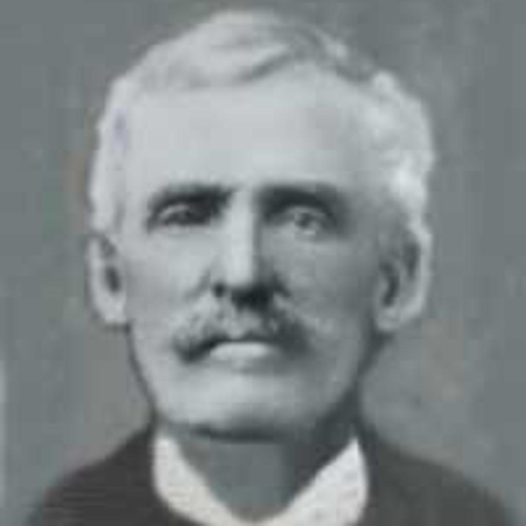 George Harman (1846 - 1922) Profile